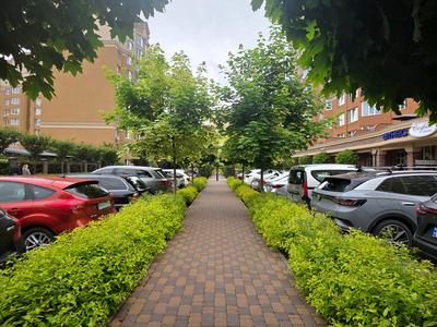 квартира за адресою Абрикосова вул., 1-Б