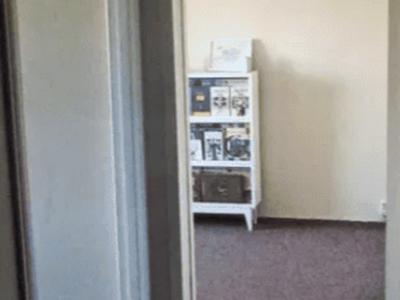 квартира по адресу Науки просп., 27