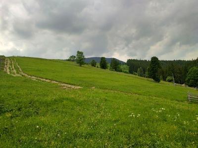 ділянка за адресою с. Кривопілля, коротеньке