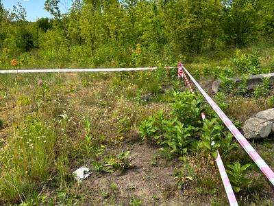 участок по адресу Обухов, Полянський