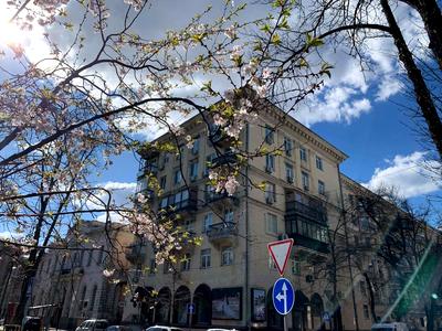 квартира за адресою Шовковична вул., 13/2