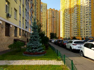 квартира за адресою Петра Калнишевського вул. (Михайла Майорова), 6