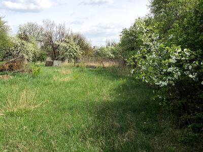 участок по адресу с. Петропавловская борщаговка, Соборная ул. (Петропавловская), 23