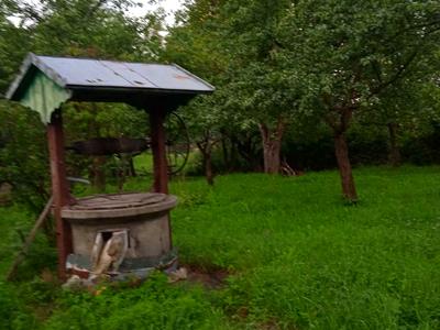 будинок за адресою с. Середній Березів, Петрунівка, 1