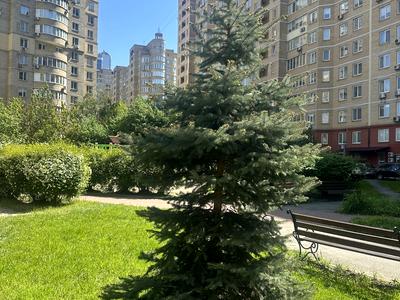 квартира по адресу Никольско-Слободская ул., 4-В