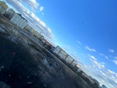квартира по адресу Национальной Гвардии ул., 14