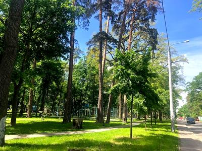 квартира за адресою Львівська вул., 15