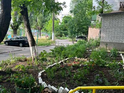 квартира за адресою Давида Ойстраха вул. (Затонського), 24/2