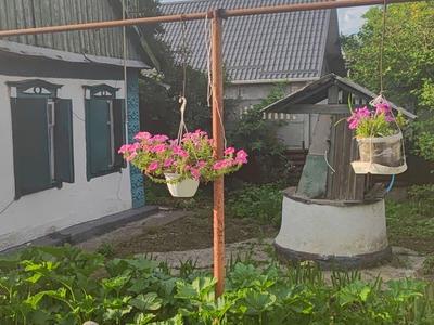 будинок за адресою с. Новоолександрівка, Українська