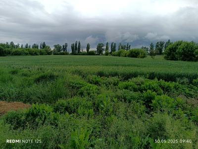 будинок за адресою Демченка