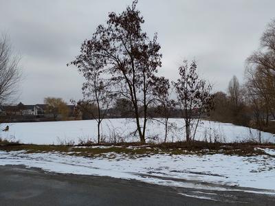будинок за адресою 1 Травня вул.