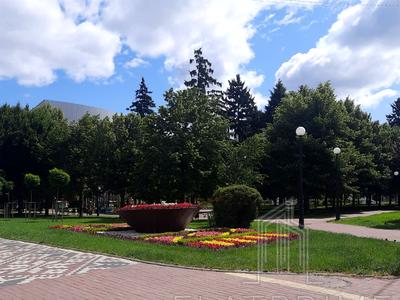 квартира за адресою Святослава Хороброго вул., 2