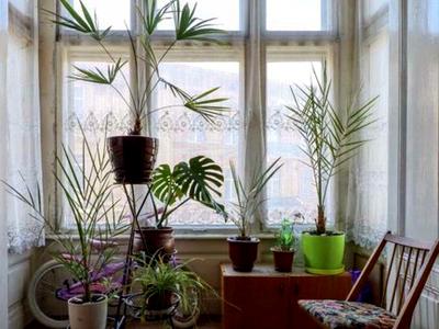 квартира за адресою Івана Франка вул., 3