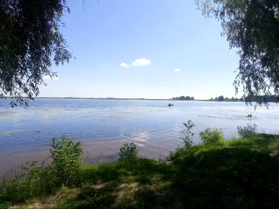 квартира по адресу Соснова ул., 10