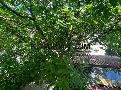 будинок за адресою Київ, Залісна вул., 31