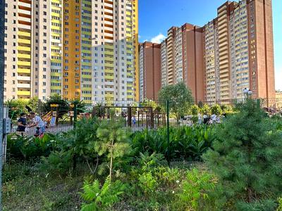 квартира за адресою Доківська вул., 10, к5
