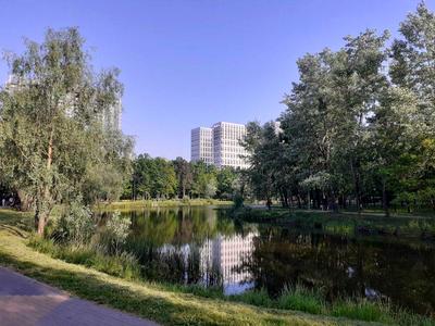 квартира за адресою Князя Романа Мстиславича вул. (Генерала Жмаченка), 22а