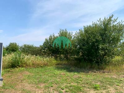 участок по адресу Скороводи