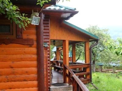 будинок за адресою Яремче, Кам'янка, 48