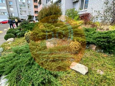 квартира за адресою Братів Горобців вул. (Дмитра Кедріна), 53-А