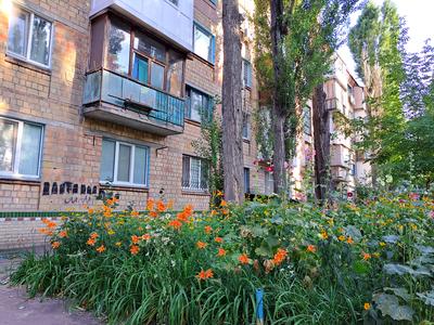 квартира по адресу Межевая ул., 12
