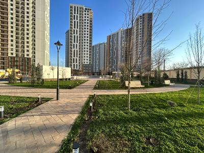 квартира по адресу Краснова ул., 3а