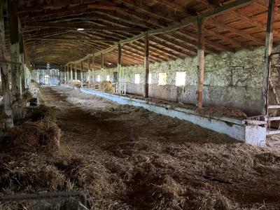 комерційна за адресою с. Тишківка, Героїв України вул., 150