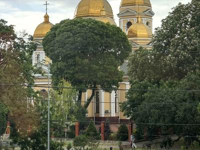 квартира по адресу Болгарская ул., 87А