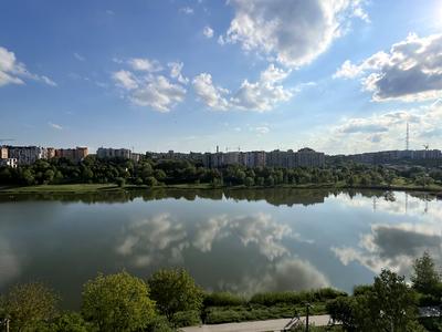 квартира за адресою Максима Залізняка вул., 14