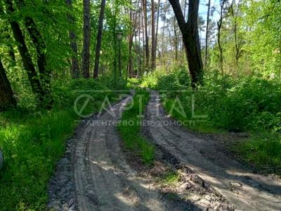 участок по адресу Соснова, 4