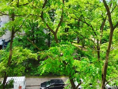 квартира за адресою Живописна вул., 3