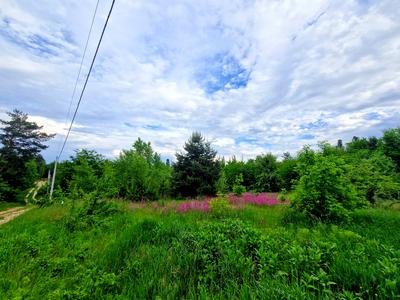 участок по адресу с. Шпитьки, Соколина