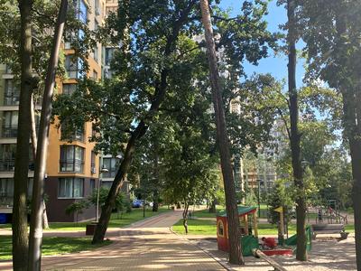 квартира по адресу Анатолия Петрицкого ул., 17-А