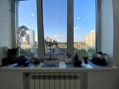 квартира за адресою Академіка Заболотного вул., 30
