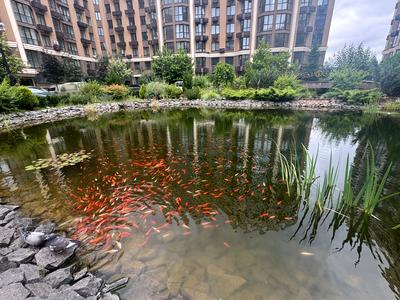 квартира за адресою Мартинова просп., 22
