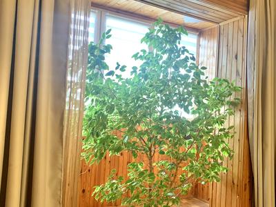 квартира за адресою Академіка Глушкова просп., 35