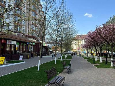 квартира по адресу Львовская ул., 17