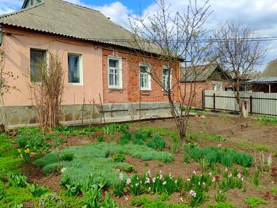 будинок за адресою Зеленогайська, 40