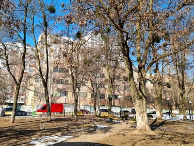 квартира по адресу Ракетная ул., 24/3