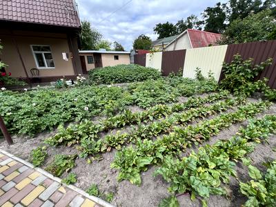 дом по адресу Юрія Мушкетика ул. (Натана Рыбака)