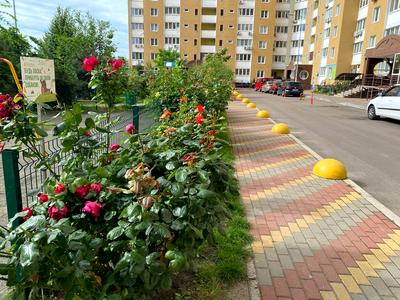 квартира по адресу Сергея Данченко ул., 5