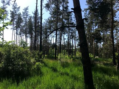 ділянка за адресою Петра Сагайдачного, 50