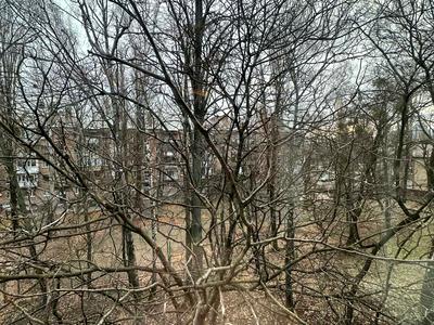 квартира по адресу Елены Телиги ул., 7-А