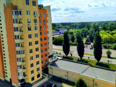 квартира за адресою Виставкова, 20