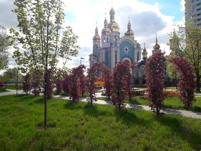 квартира за адресою Дніпровська набережна вул., 11-А