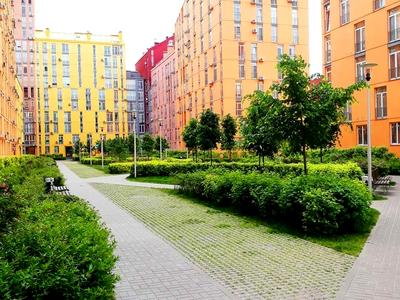 квартира по адресу Регенераторная ул., 4 к11