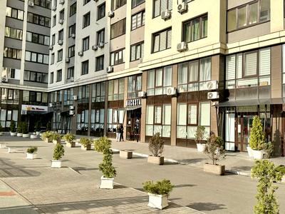 квартира по адресу Степана Рудницкого ул. (Вильямса академика), 19/14