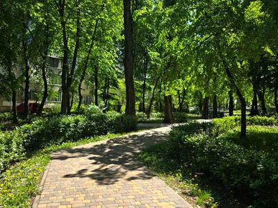 квартира за адресою Романа Ратушного вул. (Волгоградська), 33