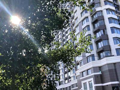 квартира за адресою Євгена Коновальця вул. (Щорса), 34-А