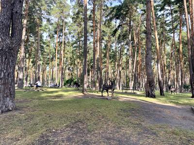 квартира за адресою Університетська вул., 3/8